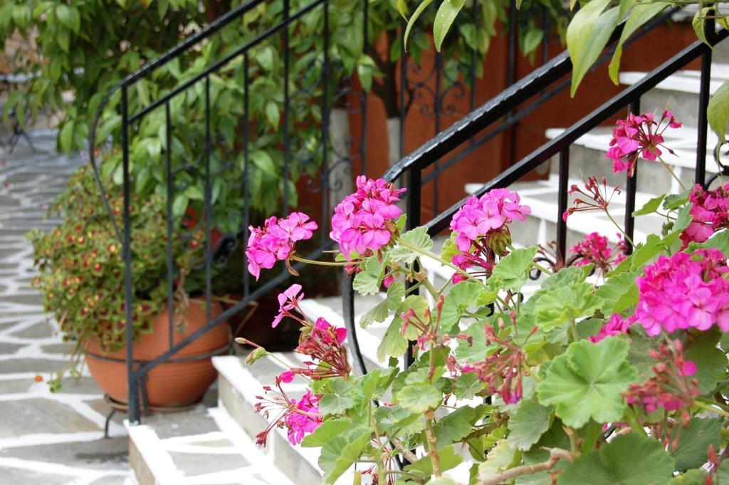 Hotel Villa Marie Sívota 외부 사진